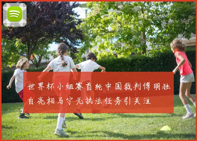 世界杯小组赛首轮中国裁判傅明独自亮相马宁无执法任务引关注
